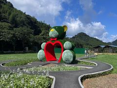 -广州市石门国家森林公园