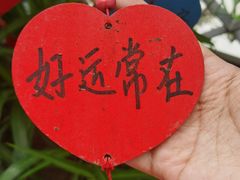 -树洞桌游宠咖小酒馆