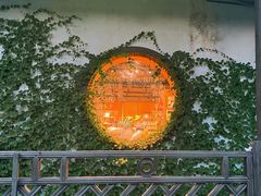 -乌镇景区
