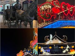-盐城丹顶鹤湿地生态旅游区