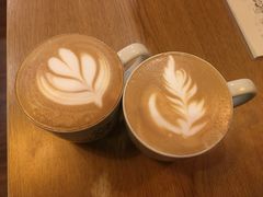 -Gloria Jean's Coffees