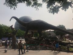 -陕西自然博物馆