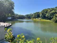 -深圳国际园林花卉博览园