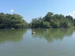 -上海吴淞炮台湾国家湿地公园