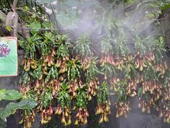 -青青世界