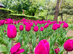 -长春公园(普阳街道)