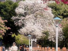 -华南师范大学(广州大学城校区)