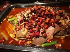 -辣尚瘾·烤鱼·新川菜(交大直营店)