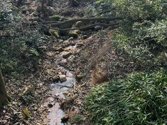 -白马涧龙池景区