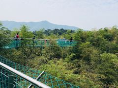 -陶祖圣境风景区