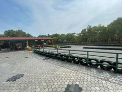 -上海海湾国家森林公园