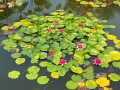 -国家植物园南园