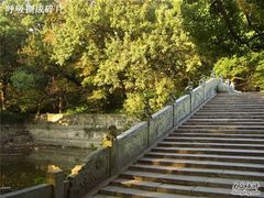 -普陀山风景名胜区-法雨禅寺