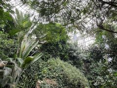-郑州植物园
