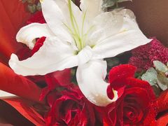 -海底捞火锅(青悦城店)