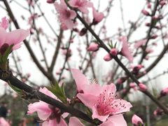 -白鹭湾湿地公园