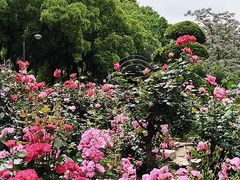 -汉水公园