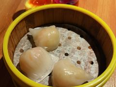 虾饺-纽斯特牛排自助餐厅(浦东文峰广场店)