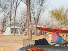 -天津东丽湖风景区