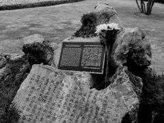 -侵华日军南京大屠杀遇难同胞纪念馆