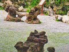 -伯先公园