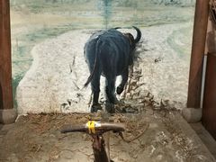 -烟水渔庄餐厅(西溪湿地店)