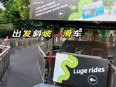 -圣淘沙天际线斜坡滑车