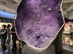 -美国自然历史博物馆