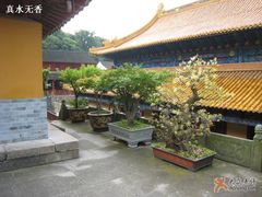-普陀山风景名胜区-法雨禅寺