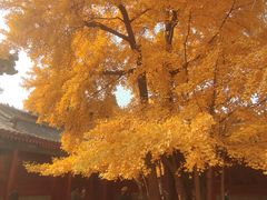 -承恩寺