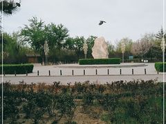 -绿堤公园