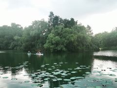 -新江湾城公园