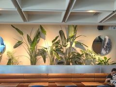 -Wagas沃歌斯(浦东陆家嘴投资大厦店)