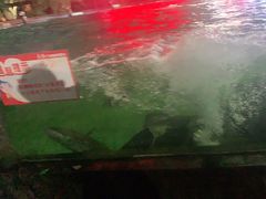 -天怡·鱼工厂(梅溪湖店)