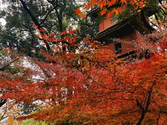 -阿育王寺