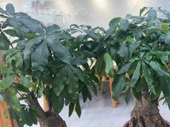 -真利味·脊骨火锅·正宗韩国料理(韩乐坊店)