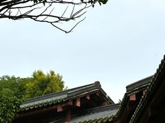 -广州神农草堂中医药博物馆