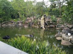 景观位-西双版纳洲际度假酒店-海鲜傣味烧烤·侬香全日制餐厅