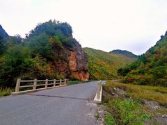 -卧牛山森林公园