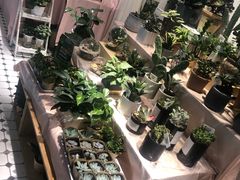 -The Green Party(嘉里中心店)