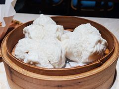 -点都德·毕德寮