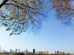 -呼兰河口湿地公园