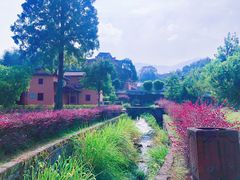 -井冈山风景名胜区