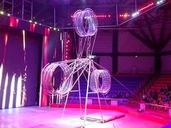 -俄罗斯国家大马戏团