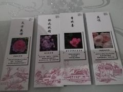 -人民公园(罗湖区)