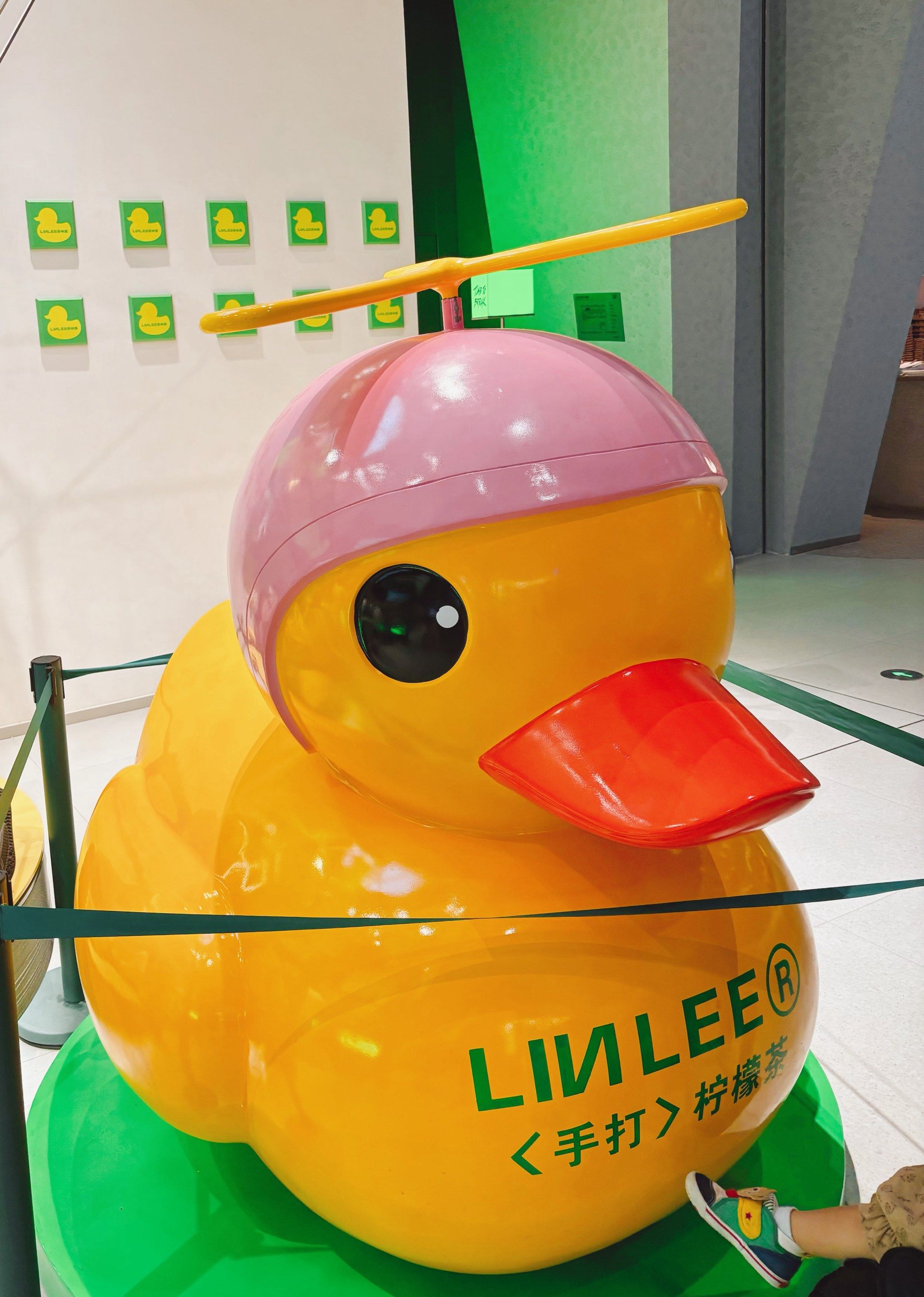 小黄鸭的快乐时光