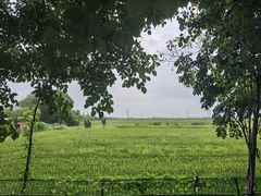 -泗洪洪泽湖湿地景区