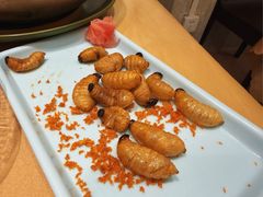 -了能菜·传统特色粤菜·虫宴