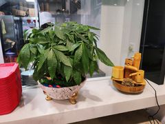 -兔爸私家小厨(新北万达店)