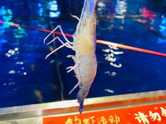 -钳真多钓虾馆·小龙虾海鲜烧烤(九六广场店)